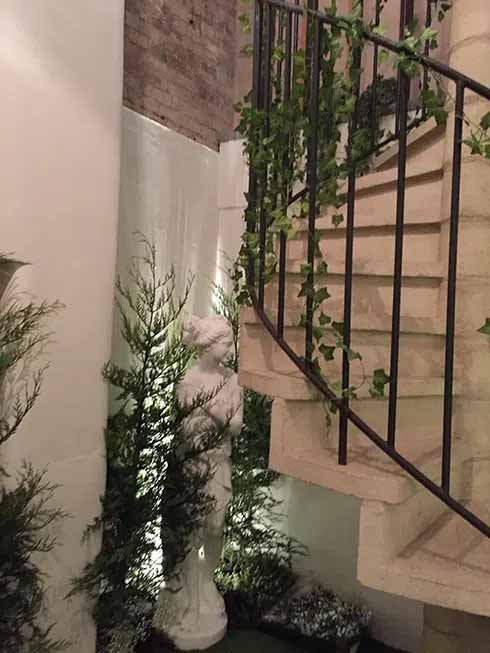 Ivy Stairwell