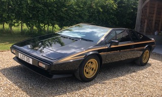 Lotus
